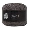 06CAP-4