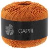 06CAP-7