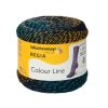 SCHACHENMAYR – SCHACHENMAYR Regia Colour Line