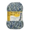 SCHACHENMAYR – SCHACHENMAYR Regia 4 ply
