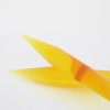 trendz-interchangeable-circular-knitting-needles 10.00mm