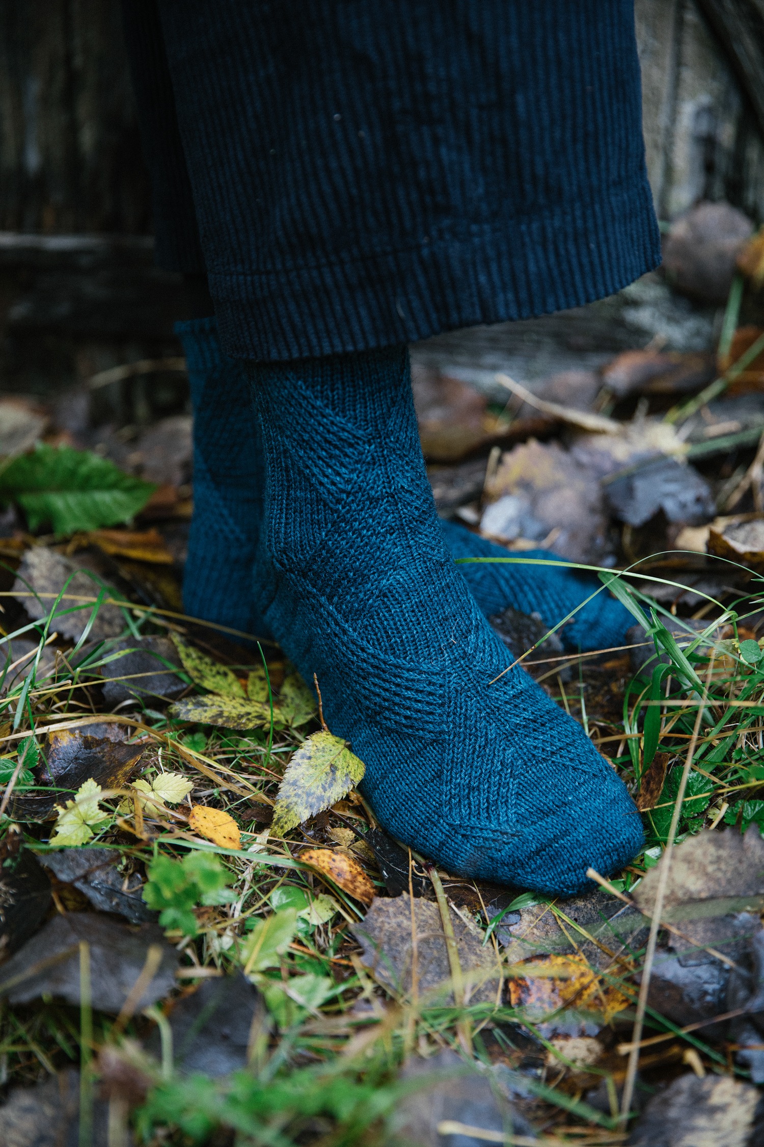Laine_52WeeksofSocks_Katrine_Birkenwasser