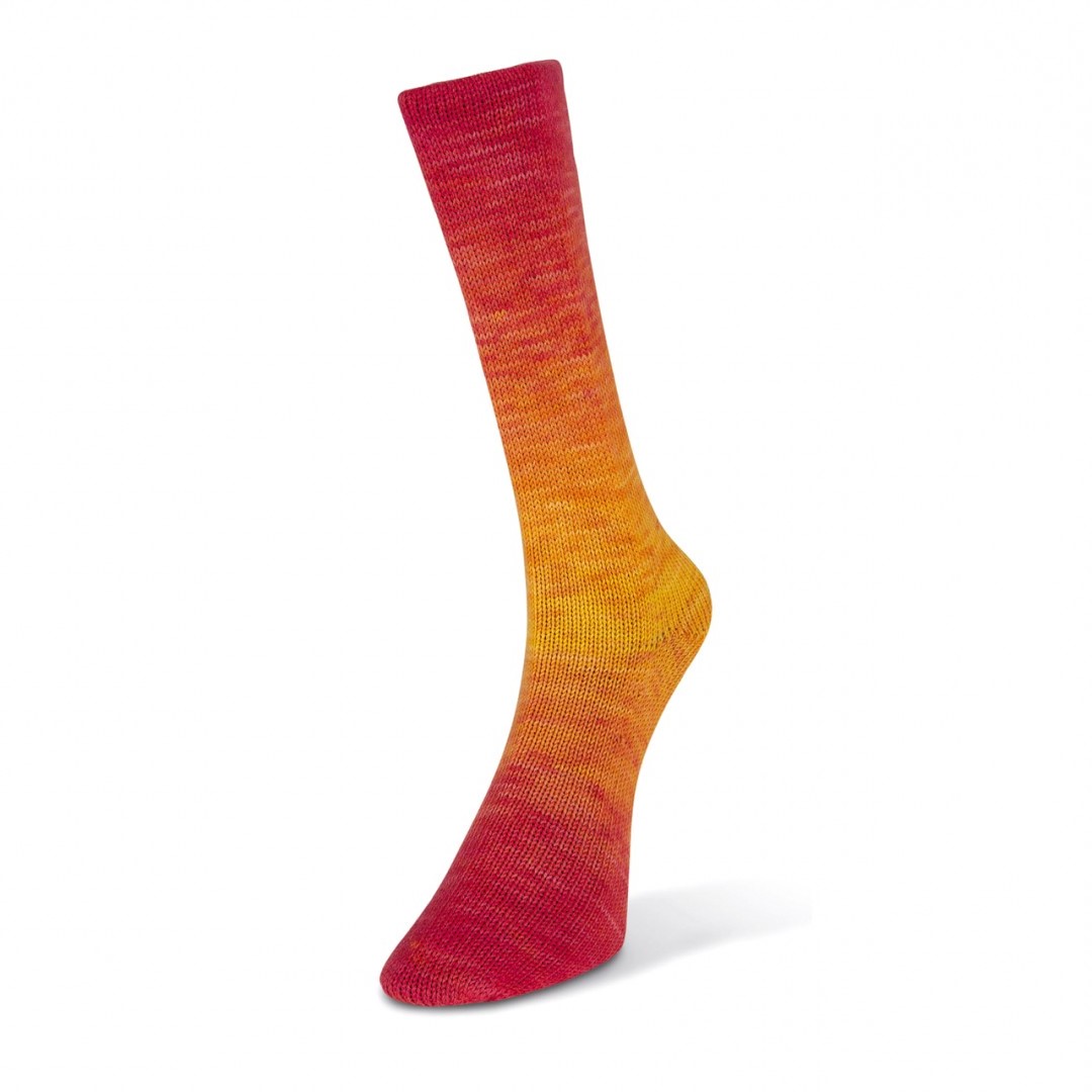 202_laines_du_nord_watercolor-sock 202_laines_du_nord_watercolor-sock