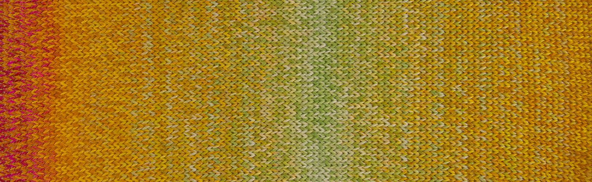 ANDINA-COLOR_02 ANDINA-COLOR_02