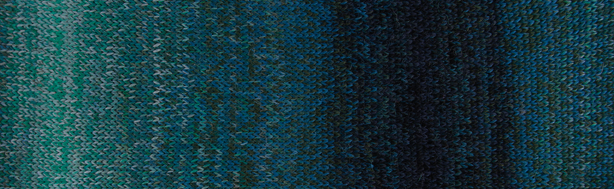 ANDINA-COLOR_03 ANDINA-COLOR_03