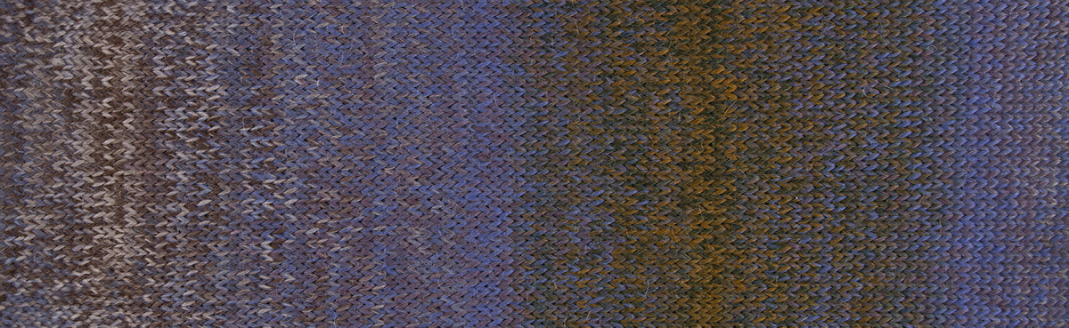 ANDINA-COLOR_04 ANDINA-COLOR_04